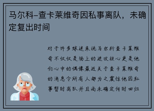马尔科-查卡莱维奇因私事离队，未确定复出时间